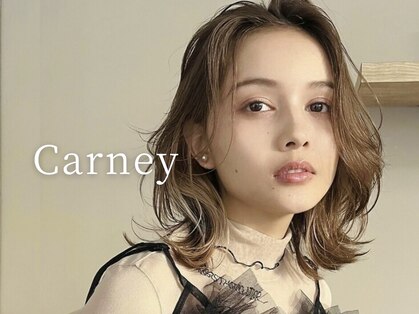 カーニー(Carney)の写真