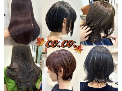 ココ(co.co.)の写真
