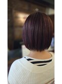 ラベンダーボブ