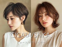シカタ シーカ 鎌倉(CICATA/ShIKA.)