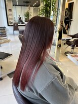 フィッツ(Fits) サラ艶レッドカラー