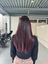 シダ(sida)&nbsp;【sida 保住】ベルベットピンクレッド