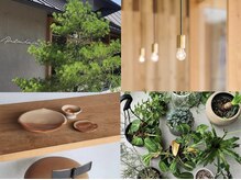 パルムヘアー(Palm hair)の雰囲気（こだわりのインテリアやお庭ハイセンスなサロン）