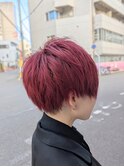 ローズレッド/ショートボブ/ベリーショート/髪質改善/白髪ぼかし