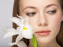 ヴァンクール(vainqueur)