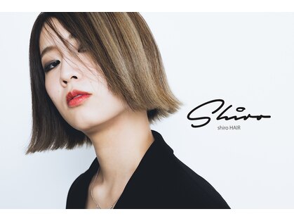 シロ(shiro)の写真