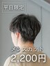 【新規／平日限定】メンテナンス男性カット※シャンプー・ドライ無※　2200円