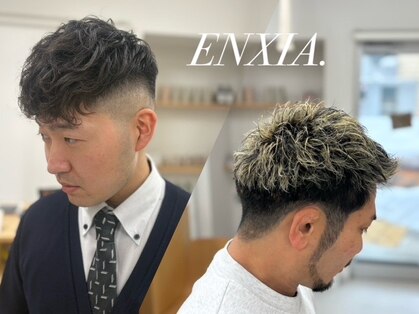 エンシア(ENXIA)の写真