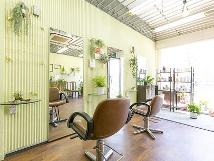 レアナナ(Leanana)の写真