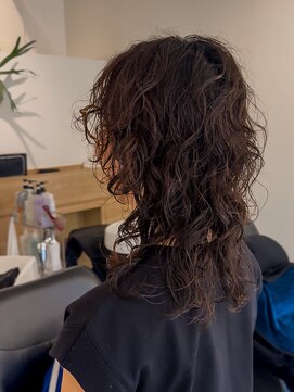 ボランチ(VOLANCH) ウルフ×パーマ