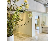 トリコ(trico)の雰囲気(髪と目元、まとめて整う特別空間でお待ちしております。)