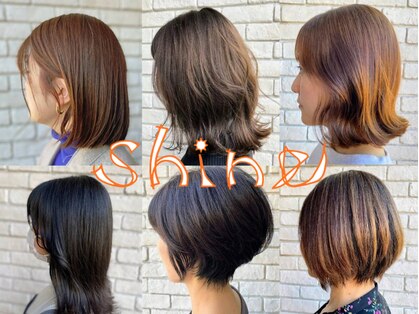 シャイン(shine)の写真