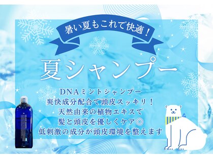 ハナ(Hana)の写真