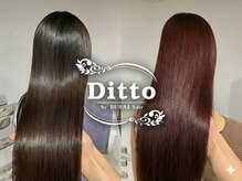 ディト(Ditto)