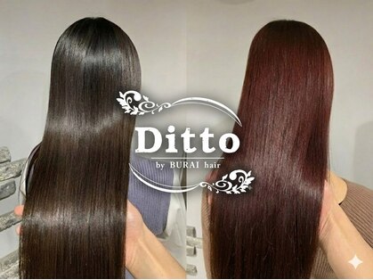 ディト(Ditto)の写真