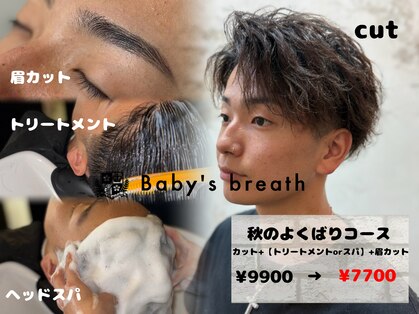 ベイビーズブレス(Baby's breath)の写真