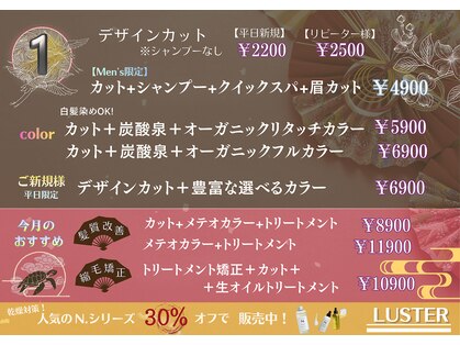 ラスター(LUSTER)の写真