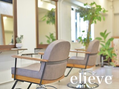 イリーブ(elieve)の写真