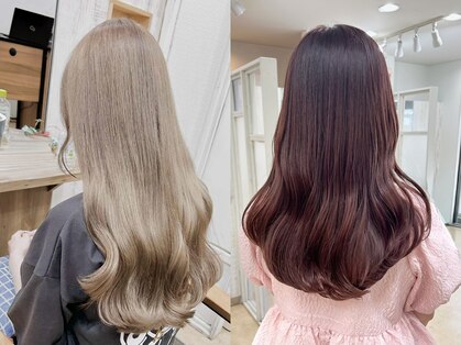 アミート(ameet)の写真