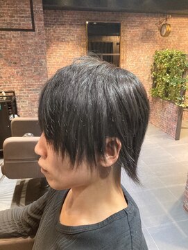 エデン(EDEN) ブリーチ無しダブルカラーCoolグレイ/ウルフカット/ウルフ