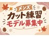 メンズカット練習モデル【フェード・ウルフスタイルNG】￥500