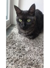 ヘアーサロン コモレビ(Komorebi.) コタロー