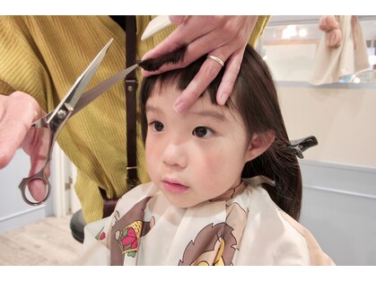 アコット(Acotto.)の写真