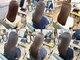 ピフデザイン(pifdesign)の写真