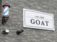 ゴート(GOAT)の写真