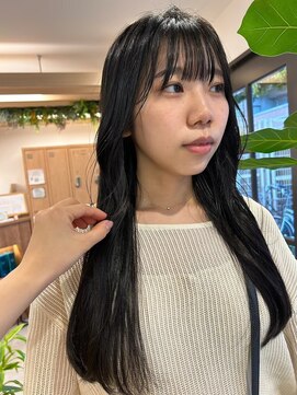 地毛風ストレート《西新店》