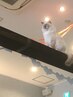 普通のパーマ　フワッフワ。。