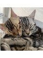 アールジービーガレージ(RGB garage) うちの猫ちゃんですいつも2匹が丸まって寝ています!