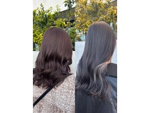 リス(Lis)