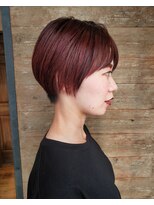 オーストヘアーベンヌ(Aust hair Bennu) ボルドーカラー
