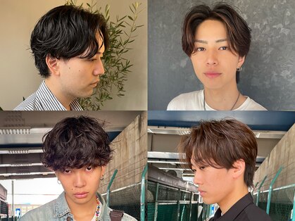 ソソ(soso)の写真