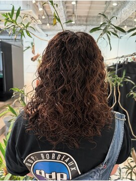 エニイ(ANY) ハードスパイラルパーマ/ASATO SUDA