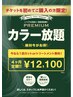 【新規ご購入の方】4ヶ月染め放題プレミアム+カットorトリートメント付¥12100