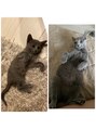 アイシー(i See.)&nbsp;my cat kui