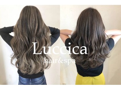 ルチカ(Luccica)の写真