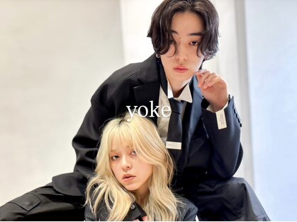 ヨーク(yoke)の写真