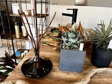 ソル(SOL)の雰囲気(こだわりの観葉植物がいっぱいの店内/ハンドメイドアクセサリー)