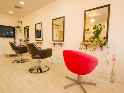 フェリーチェ(Felice)の写真