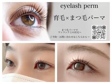 テンドルレーヴ(Tendre Reve)の雰囲気（まつ毛パーマも人気です♪サロン内にアイラッシュスペースあり！）