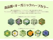 ララ(LaLa)の雰囲気（カラーバリエーション豊富！白髪染めヘアカラー）