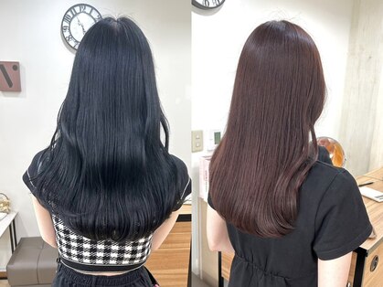 アミート(ameet)の写真