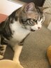 凄いパーマ　あぁもうクルックルさ。