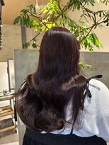 ルプラス(le place.)&nbsp;ボルドーカラー