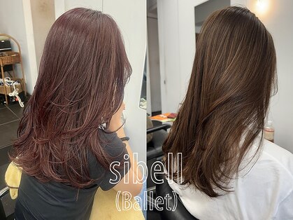 シベルバレー 横浜(sibell)の写真