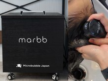 クローバー(4-CLOVER)