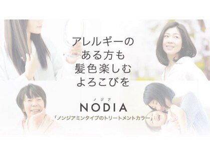 サフネ(safune)の写真
